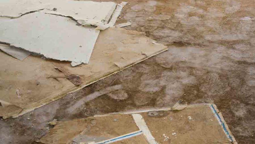 Slab Leak In Cape Coral | 3 Reasons a Slab Leak Must Be Fixed Immediately