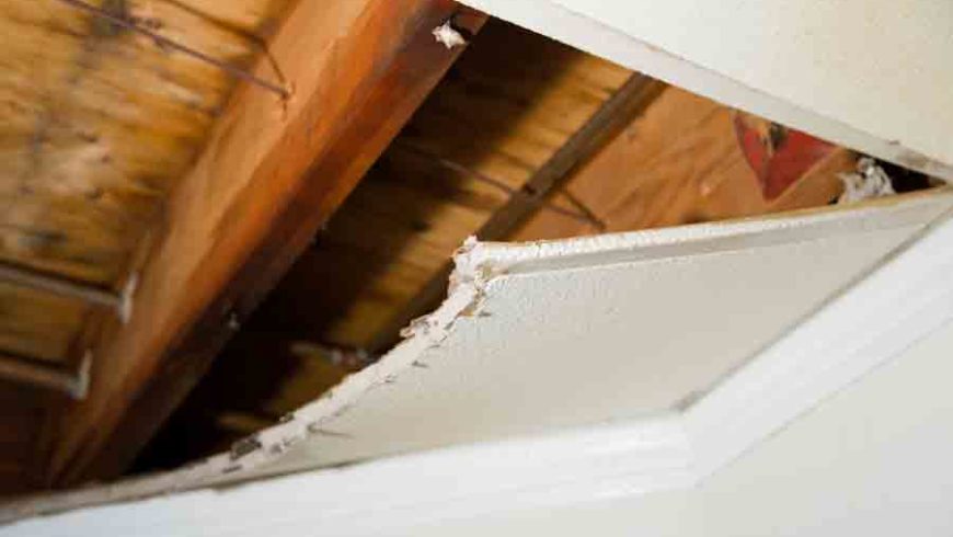 Roof Leak Repair in Tallahassee | 5 Dangers Associated with a Roof Leak
