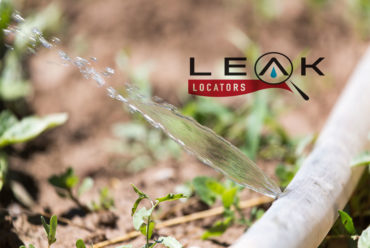 Plumbing Leaks in Cape Coral | Tips to Stop and Prevent Plumbing Leaks